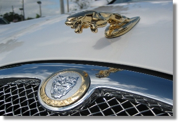 Gold Plated Emblems