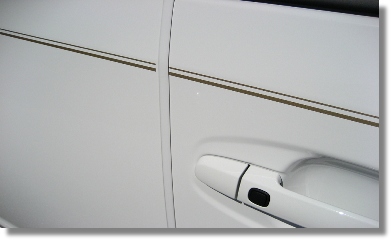 Door Edge Guard